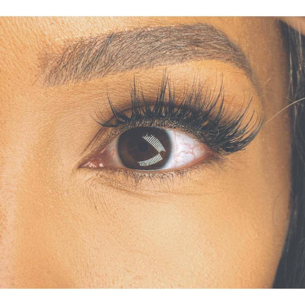 HOLLYWOOD | luxe vegan lashes - FEMME by Alonna Elaine